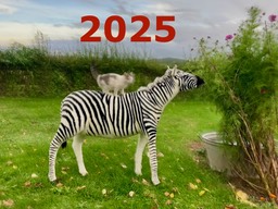 2025